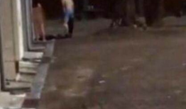 男人和女人啪啪啪视频,揭秘男女私密互动的神秘面纱