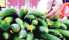 小黄瓜视频,揭秘日常生活中的趣味瞬间