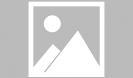 大鲨鱼视频,揭秘海洋霸主的生活奥秘