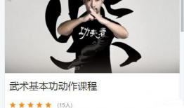 武术基本功教学视频,从基础到精通的修炼之路